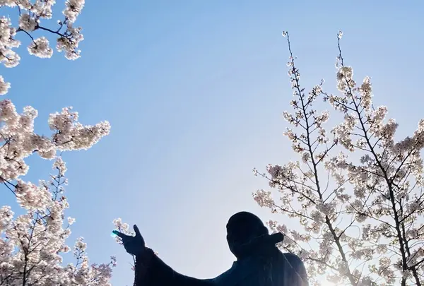 本門法華宗 大本山 妙蓮寺の写真・動画_image_593367