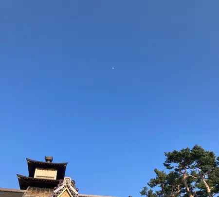 五稜郭公園の写真・動画_image_593843