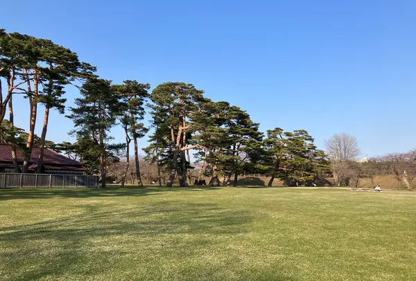 五稜郭公園の写真・動画_image_593844