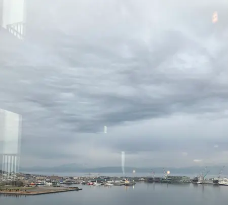 東急ステイ函館朝市 灯の湯の写真・動画_image_593849