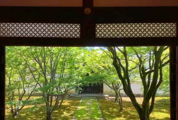 妙覚寺の写真・動画_image_593884