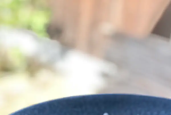 古民家ひらぬまの写真・動画_image_594147