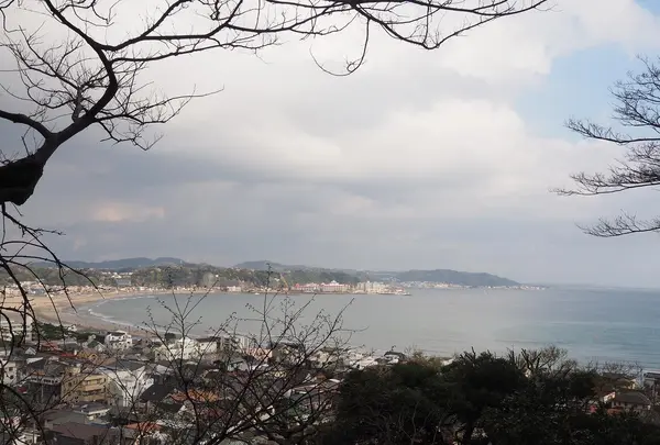 長谷寺の写真・動画_image_594383