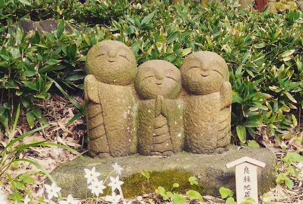 長谷寺の写真・動画_image_594384