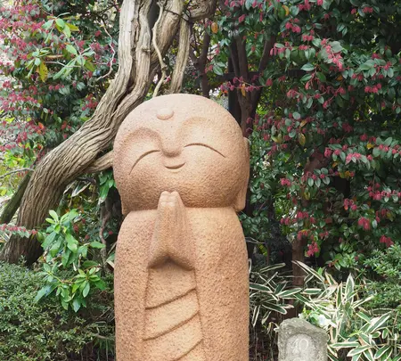 長谷寺の写真・動画_image_594391