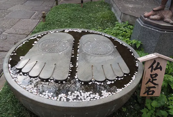 長谷寺の写真・動画_image_594394