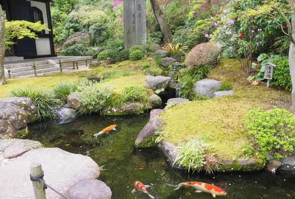 長谷寺の写真・動画_image_594410