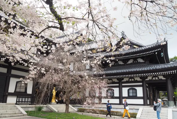 長谷寺の写真・動画_image_594412
