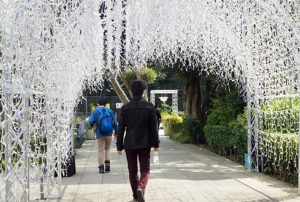江の島サムエル・コッキング苑の写真・動画_image_594584