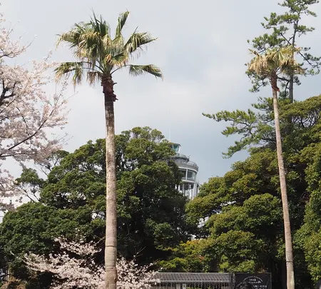 江の島サムエル・コッキング苑の写真・動画_image_594604