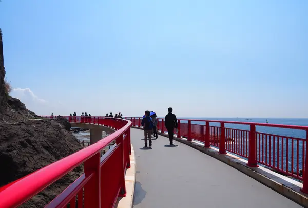 江の島岩屋の写真・動画_image_594638