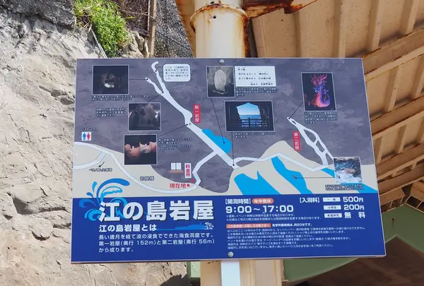 江の島岩屋の写真・動画_image_594639