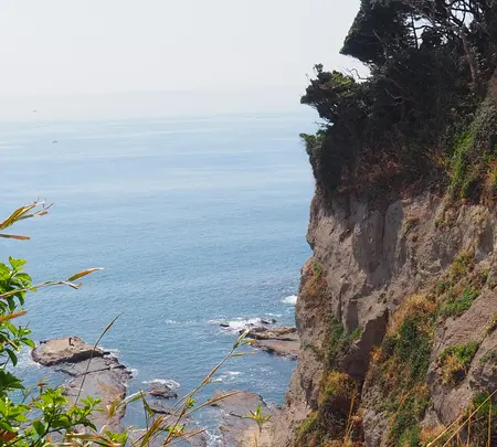 江の島岩屋の写真・動画_image_594647