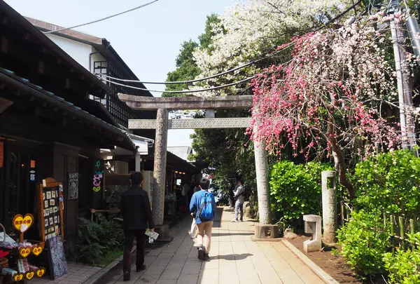 江島神社 辺津宮の写真・動画_image_594673