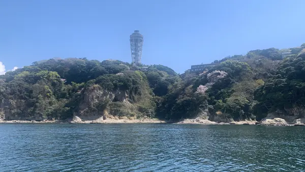 遊覧船べんてん丸 岩屋乗り場の写真・動画_image_594704