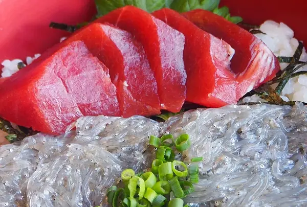 藤浪の写真・動画_image_594712