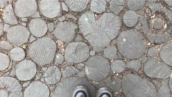 赤城自然園の写真・動画_image_594992