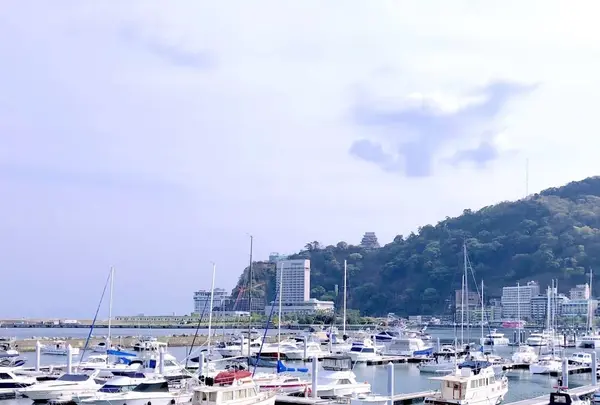渚親水公園・ムーンテラスの写真・動画_image_595850