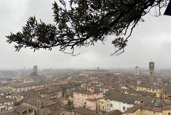 Guinigi Towerの写真・動画_image_596451