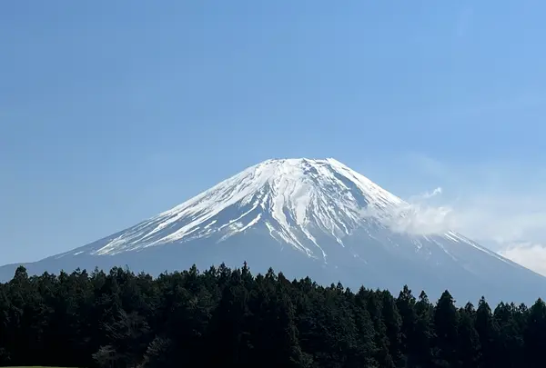 道の駅 朝霧高原の写真・動画_image_596697