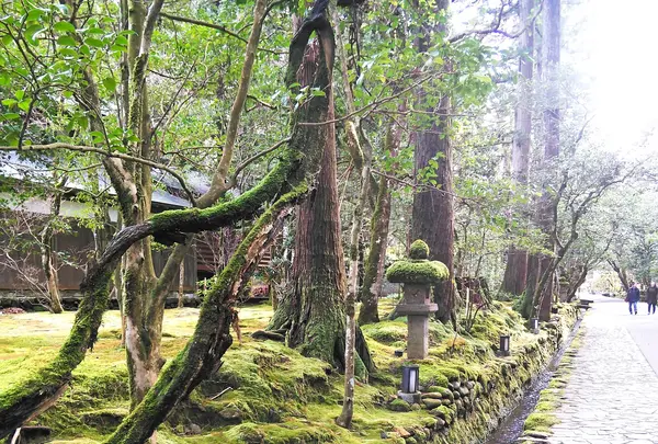 那谷寺の写真・動画_image_597093