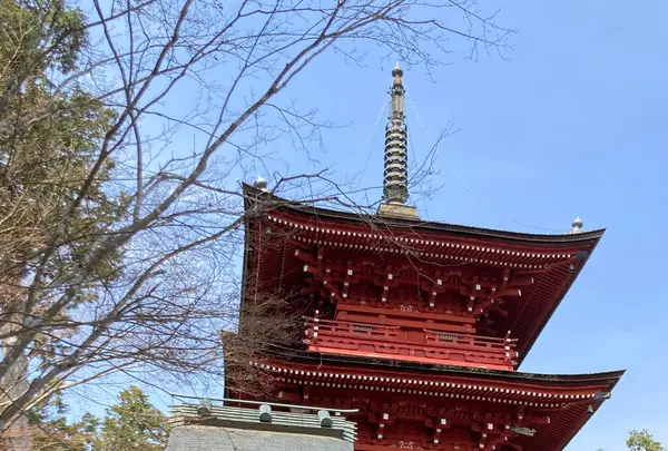 柏原八幡宮の写真・動画_image_597903