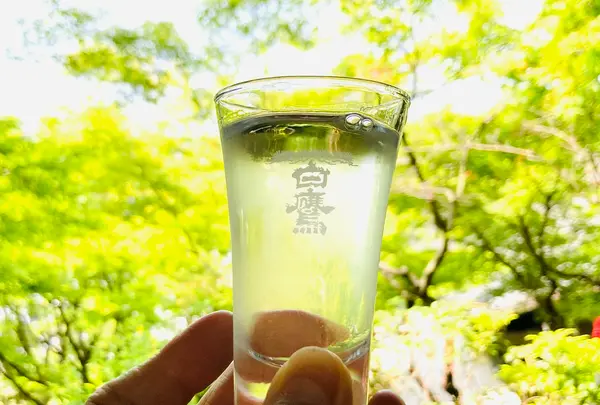 白鷹禄水苑の写真・動画_image_598301