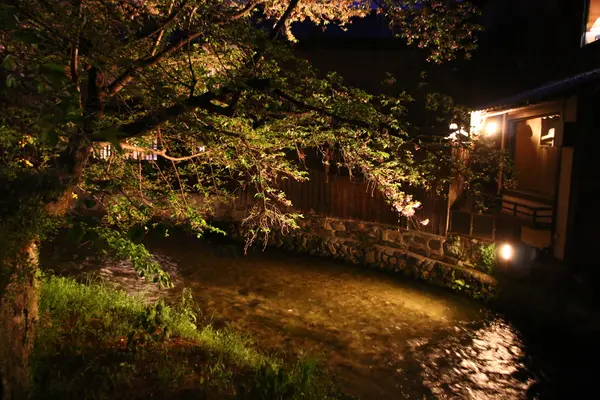巽橋の写真・動画_image_599157