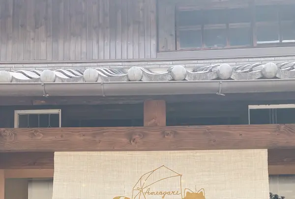 あめあがりの写真・動画_image_599773