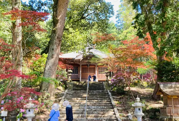 白毫寺の写真・動画_image_600014