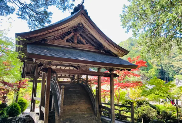 白毫寺の写真・動画_image_600017