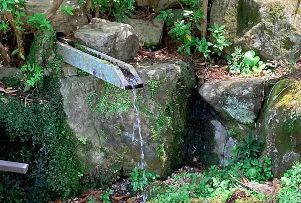 水分れ公園の写真・動画_image_600031