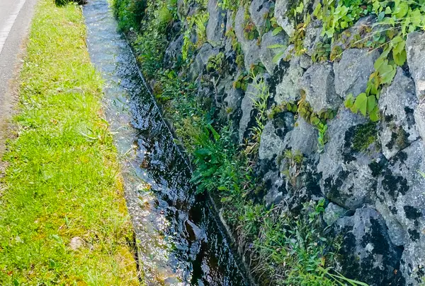 大名草庵の写真・動画_image_600036