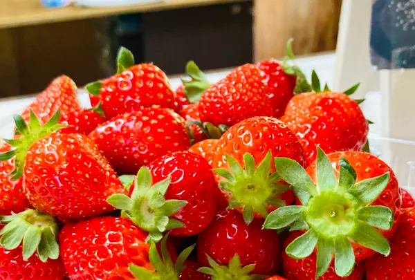 ことぶき農園の写真・動画_image_600038