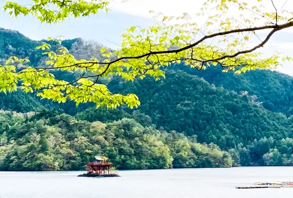 銀山湖の写真・動画_image_600587
