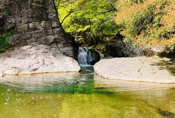 銀山湖の写真・動画_image_600596