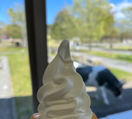 道の駅 朝霧高原の写真・動画_image_600607