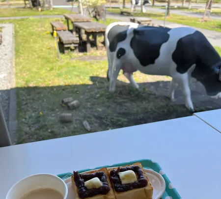 道の駅 朝霧高原の写真・動画_image_600608
