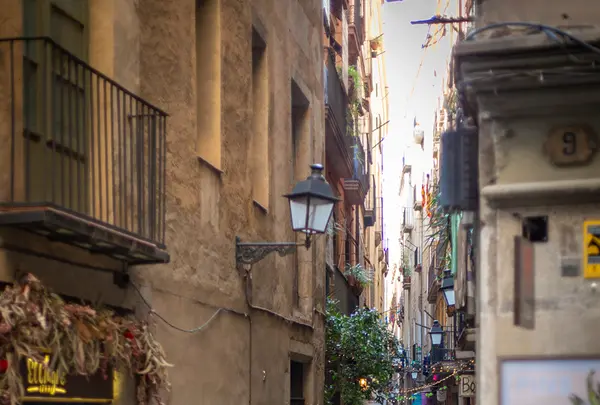 ゴシックの写真・動画_image_600794