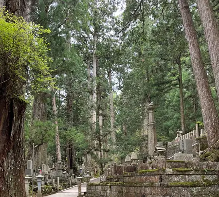 奥の院口バス停の写真・動画_image_601019