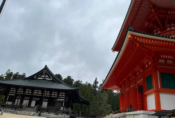 千手院橋（東）バス停の写真・動画_image_601028