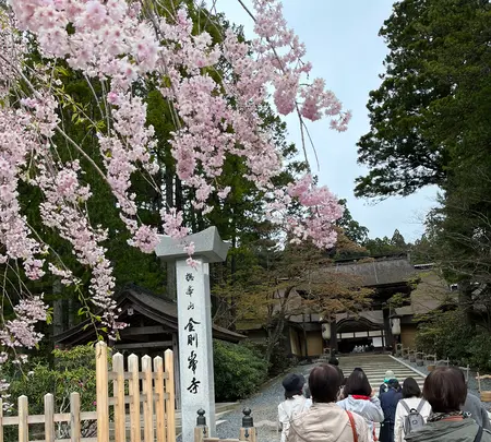 千手院橋（東）バス停の写真・動画_image_601040