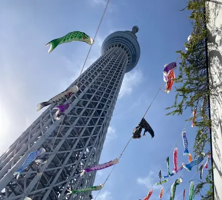 東京スカイツリーの写真・動画_image_601248