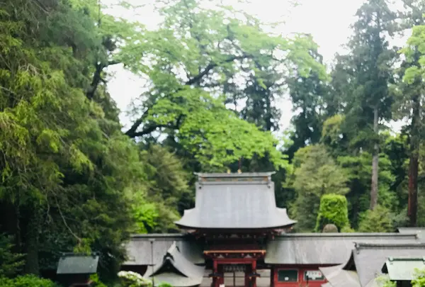 貫前神社の写真・動画_image_601395