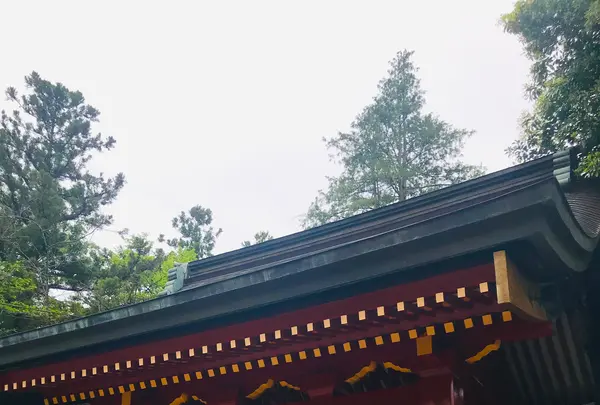 貫前神社の写真・動画_image_601396