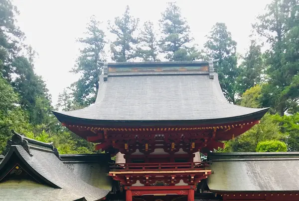 貫前神社の写真・動画_image_601397