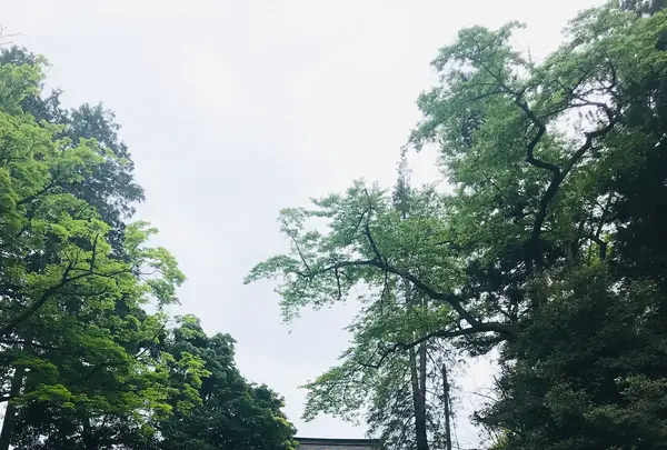 貫前神社の写真・動画_image_601398