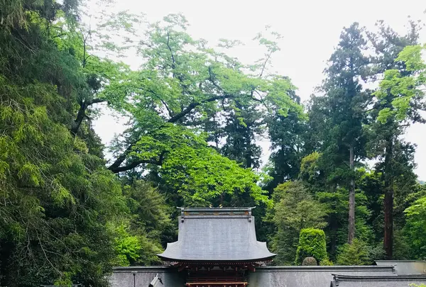 貫前神社の写真・動画_image_601399