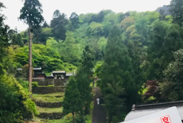 妙義神社の写真・動画_image_601408
