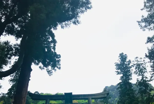 妙義神社の写真・動画_image_601409